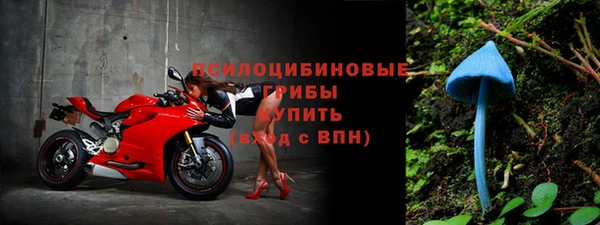 прущая мука Армянск