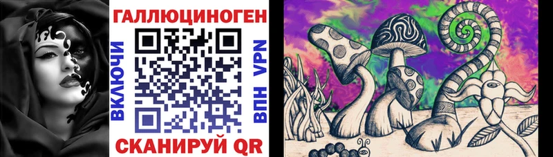 ссылка на мегу ССЫЛКА  даркнет сайт  Медвежьегорск  Галлюциногенные грибы мицелий 